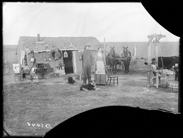 a man, woman, dog, two horses, and a cow stand in front of a tiny house decorated with an antler over the doorway.