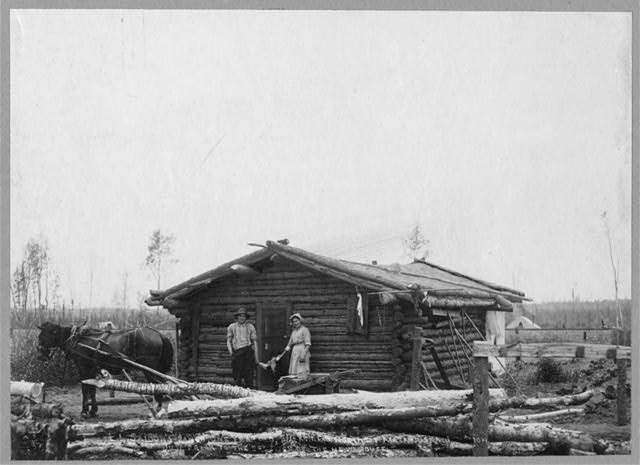 A man and a woman stand in front of a small log cabin. There's a horse to the left, and in between
																			   the people a dog is standing on its hind legs, its front paws held by them.