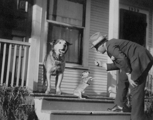 A man on the steps of a front porch offers a treat to a small dog, which is standing on its two back legs. A larger dog stands behind it