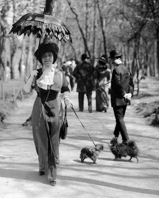 A woman in a stylish Edwardian dress and cravat holds a parasol in one hand and a leash in the other. Her little fluffy dog is standing behind her, distracted by a dark pomeranian. The Pomeranian's owner, a mustachioed man with a cane tucked under his arm and wearing a bowler hat, turns to look at the woman as he's walking the opposite direction.