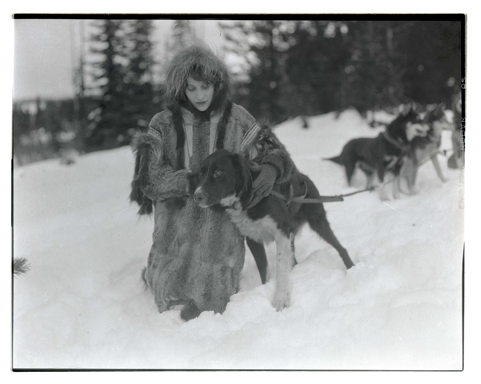 A woman in a fur coat kneels in the snow with her arms around a dog. The dog is on a lead, and there are two husky-like dogs in the background.