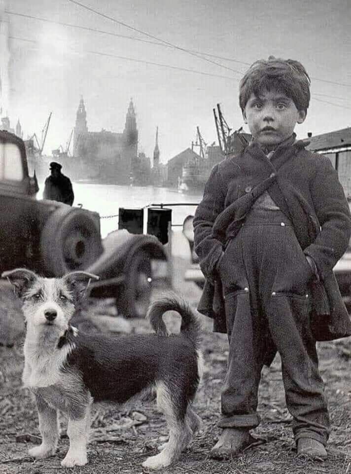 A little boy stands with his hands in his pockets, a terrier stands next to him with its ears perked up. There's an old car in the background, and a river